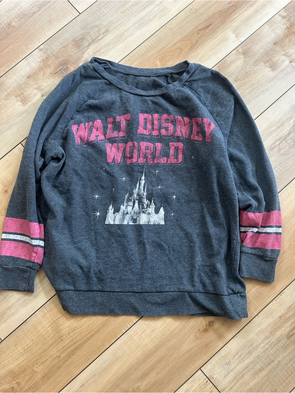 Disney Walt Disney World Gray Sweatshirt with Pink Accents (purchased at Disney)